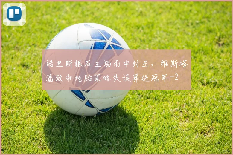 诺里斯银石主场雨中封王，维斯塔潘致命轮胎策略失误葬送冠军