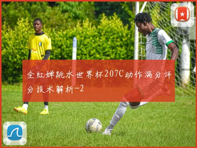 全红婵跳水世界杯207C动作满分评分技术解析