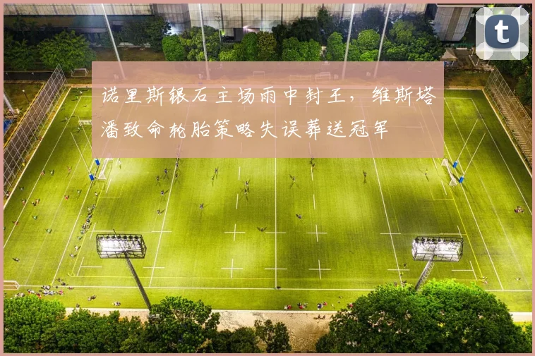 诺里斯银石主场雨中封王，维斯塔潘致命轮胎策略失误葬送冠军
