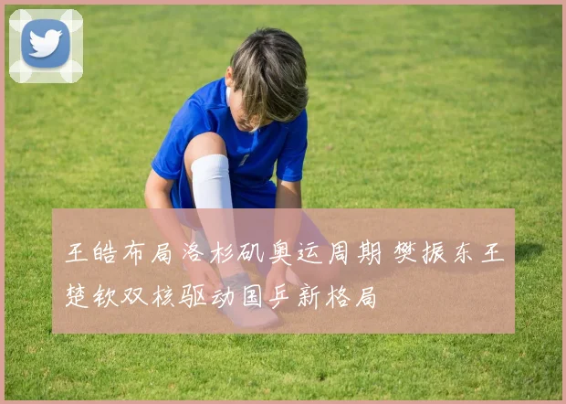 王皓布局洛杉矶奥运周期 樊振东王楚钦双核驱动国乒新格局
